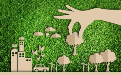 Uso gratuito de bienes sociales por socios: nuevo criterio fiscal del TEAC